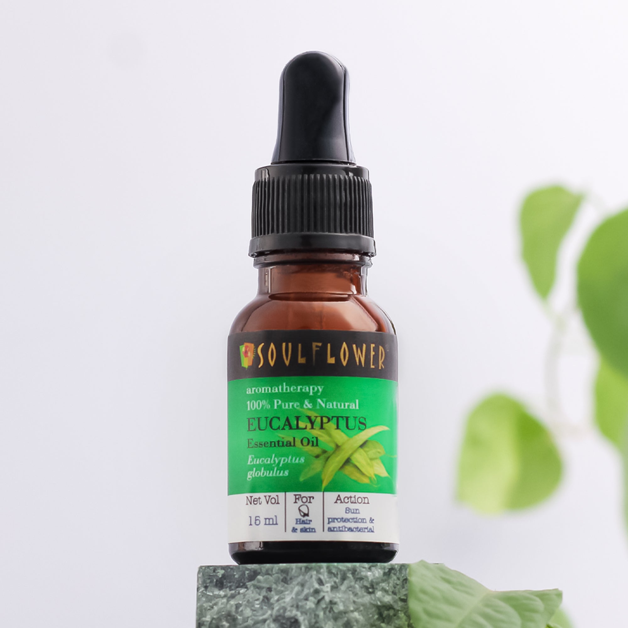 Soulflower Eucalyptus (Nilgiri) Essential Oil - 15 ml